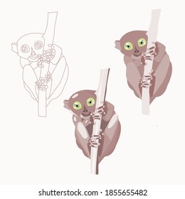 Tarsier-Affen-Vektorgrafik 
Einzeln in linearen und flachen Stilen, detailliert auf beigem Hintergrund.Cartoon-Druck in Schritt-für-Schritt-Illustration für Unterrichtsanweisungen, Drucke für Kleidung.