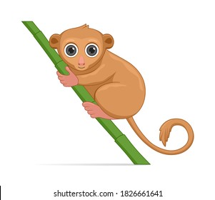 Tarsier standing on a white background. Cartoon style vector illustration