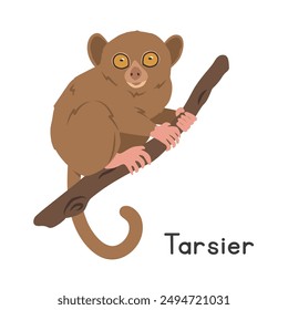 Tarsier vector illustration, prosimian cartoon clipart character, animal in flat style. Wild animals, wild creatures, wildlife concept. Philippine tarsier vector design isolated on white background