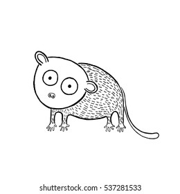 Tarsius Tarsier sketch, hand drawn vector illustration