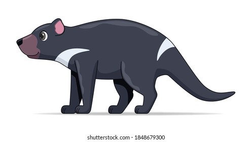 Tasmanian devil animal standing on a white background. Cartoon style vector illustration