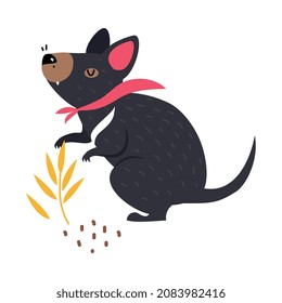 Tasmanian Devil as Australian Animal with Black Fur Vector Illustration