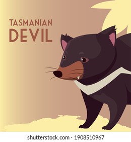 tasmanian devil australian animal wildlife vector illustration