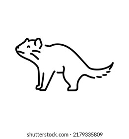 Tasmanian devil color line illustration. Animals of Australia.