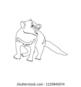 Tasmanian devil coloring pages on the white background, Vector illustration