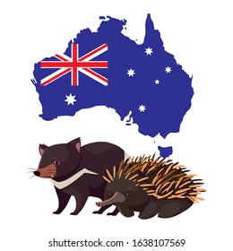 Tasmanian devil and echidna with map of Australia in the background. vector illustration design.