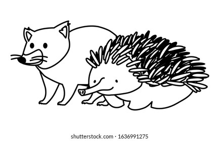 Tasmanian devil and echidna on white background. vector illustration design.