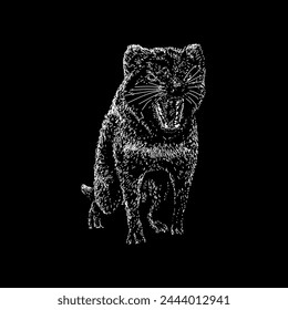 tasmanian devil hand drawing vector isolated on black background.