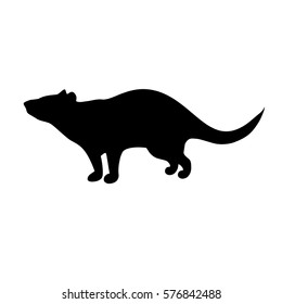 
Tasmanian devil isolated vector illustration silhouette icon sign