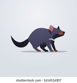 Tasmanian devil rat icon cute cartoon wild animal symbol with shadow wildlife species fauna concept flat vector illustration