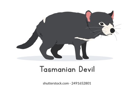 Tasmanian devil vector illustration, cartoon clipart character, animal in flat style. Wild animals, wild creatures, wildlife concept. Tasmanian devil vector design isolated on white background