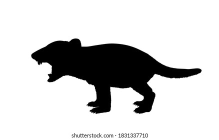 Tasmanian devil vector silhouette illustration isolated on white background.