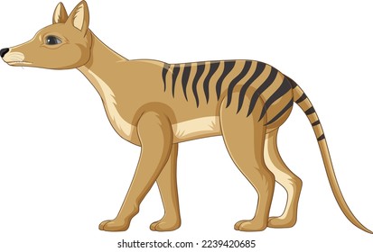 Tasmanian tiger extinct animal vector illustration