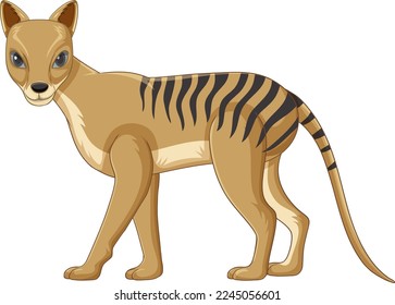 Tasmanian tiger extinct animal vector illustration