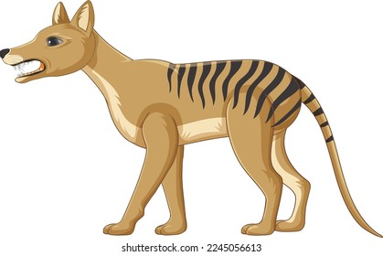 Tasmanian tiger extinct animal vector illustration