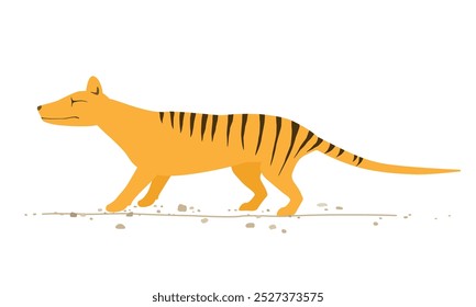 Tigre-da-tasmânia (Thylacine) parado no chão. 