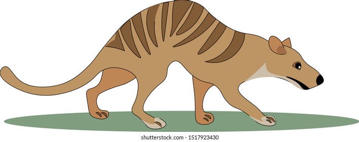 Tasmanian Wolf, Illustration, Vector On White Background.