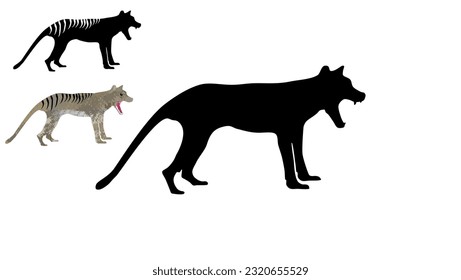 Tasmanian wolf silhouette, high quality vector