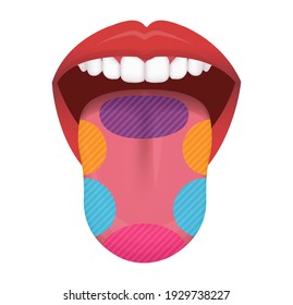 Taste areas of human tongue vector illustration