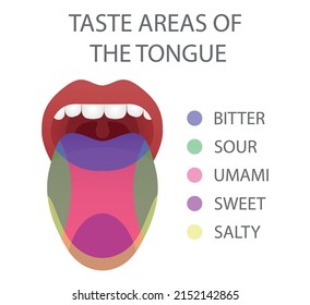 1,582 Tongue salt Images, Stock Photos & Vectors | Shutterstock