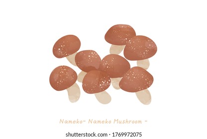 The taste of autumn, a simple illustration of mushrooms Nameko
Vector illustration