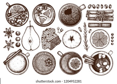 Taste of Christmas. Vector collection of hot drinks with ingredients. Hand sketched tea, mulled wine, cocoa, fruits, spices, coffee, chocolate and honey. Winter beverage for seasonal menu design.