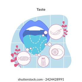 Taste illustration. A depiction of the gustatory system with symbols for sweet, sour, salty, and bitter flavors. The complexity of taste perception. Flat vector illustration.