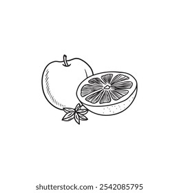 Tasty apple with half sliced juicy orange and anise star in black isolated on white background. Hand drawn vector sketch illustration in doodle engraved vintage line art style. Mulled wine ingredients