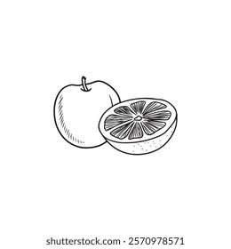 Tasty apple with half sliced juicy orange and anise star in black isolated on white background. Hand drawn vector sketch illustration in doodle engraved vintage line art style. Mulled wine ingredients