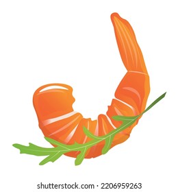 Tasty boiled shrimp tail and arugula on white background