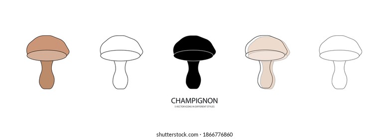 tasty champignon vector type icon