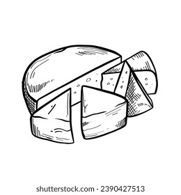 Tasty cheese on white background