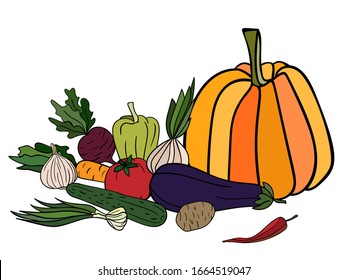 Tasty colorful vegetable composition on white isolated background. Pumpkin, eggplant, tomato, garlic, onion, beet, cucumber, potato, pepper, chili, carrot. Good for illustration of culinary book.