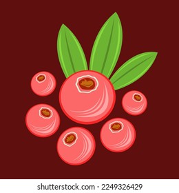 Ilustración vectorial plana de arándanos. Dibujo vectorial de frutas de arándano agridulce y dulce lindo para diseño gráfico y elemento decorativo