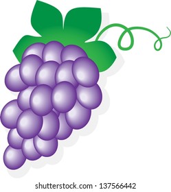 Tasty dark grape isolated on white background