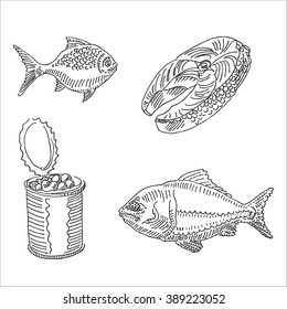 Tasty delicious sliced fresh ocean fish and canned beans or caviar  vector illustration, in sketch hand drawn style. For restaurant and  cafe design