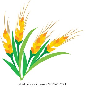 tasty fast all food collection White background