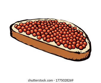 Tasty fat beluga spawn ikura on cut rye bake bun background. Bright orange color hand drawn logo sign icon sketch in vintage art doodle graphic cartoon style pen on white space for text. Closeup view