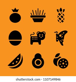 tasty, feline, abstract and section icon set. Vector illustration for web and design.