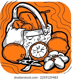 Tasty fresh fruits and vegetables in basket for healthy eating, vegan and vegetarian lifestyle. Garden harvest, market shopping, grocery store. Hand drawn illustration. Cartoon vintage vector drawing.
