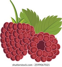 Tasty fresh raspberry , Fresh red ripe raspberries.