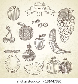 Tasty fruit set in vector - persimmon, banana, grape, pomegranate, peach, cherry, pear, plum, blueberry, quince, mango. Vintage vegetarian concept collection