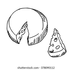 Tasty gourmet cheese sketch  drawing. Vintage  line style illustration. 
For restaurant and  cafe design
