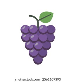 Tasty Grapes vector Illustration for Fruit, Healthy Eating, and Wine Themed Designs on white background 