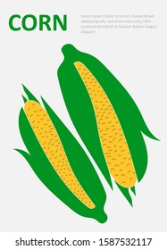 Tasty healthy vegetable corn on a poster. Hand drawn vector. Color illustration in a trendy style. Flat design. Element is isolated in eps 10 format.