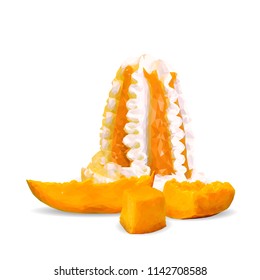 Tasty ice cream with mango jam. Coolness and freshness. Symbols of fruits. Elements for label design. Vector illustration. Fruits ingredients in triangulation technique. Ice cream low poly.