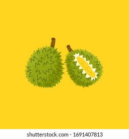 Tasty juicy Durian. Smelly fresh natural King of fruit. Hand drawn colored Vector illustration. Isolated on yellow background