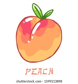 Tasty juicy spring ripe orange peach.  Organic fruit. Green leaves. Decorative style. Hand drawn. Isolated clipart set.