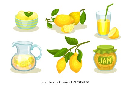 Tasty Lemon Food Items. Food and Beverage Containing Lemon Ingredient Vector Isolated Set