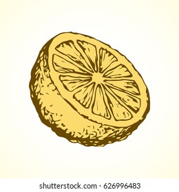 Tasty lime on white backdrop. Freehand outline ink hand drawn picture logo sketchy in art retro scribble style pen on paper. View closeup with space for text